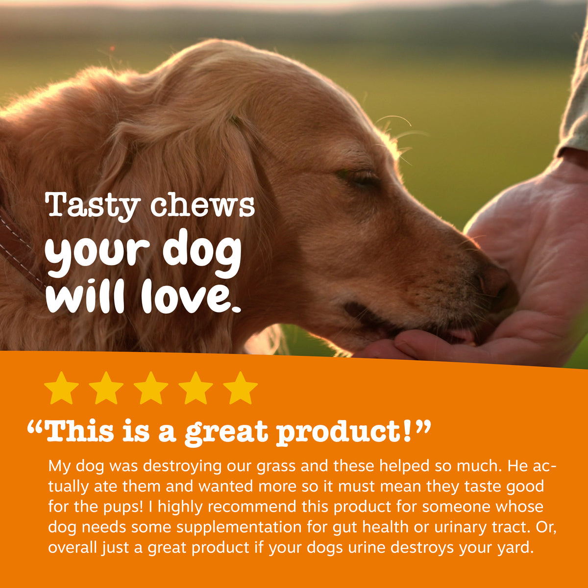 Stay Green Bites™ for Dogs