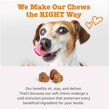 Brown and white dog with tongue out above four brown soft chew treats on white background.