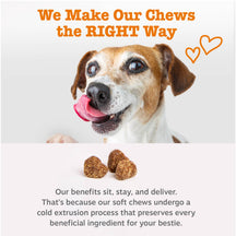 Brown and tan puppy with pink tongue next to four small brown probiotic bite treats on white background.