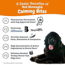 Black dog resting with orange infographic listing five benefits of calming bites for dogs.