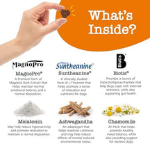Hand holding brown dog treat with ingredient callouts including MagnoPro, Sunthenanine, Biotis, melatonin, ashwagandha, and c