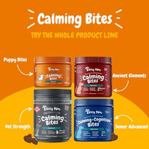 Four Calming Bites dog supplement jars in orange, burgundy, gray, and blue variants displayed on orange and yellow background