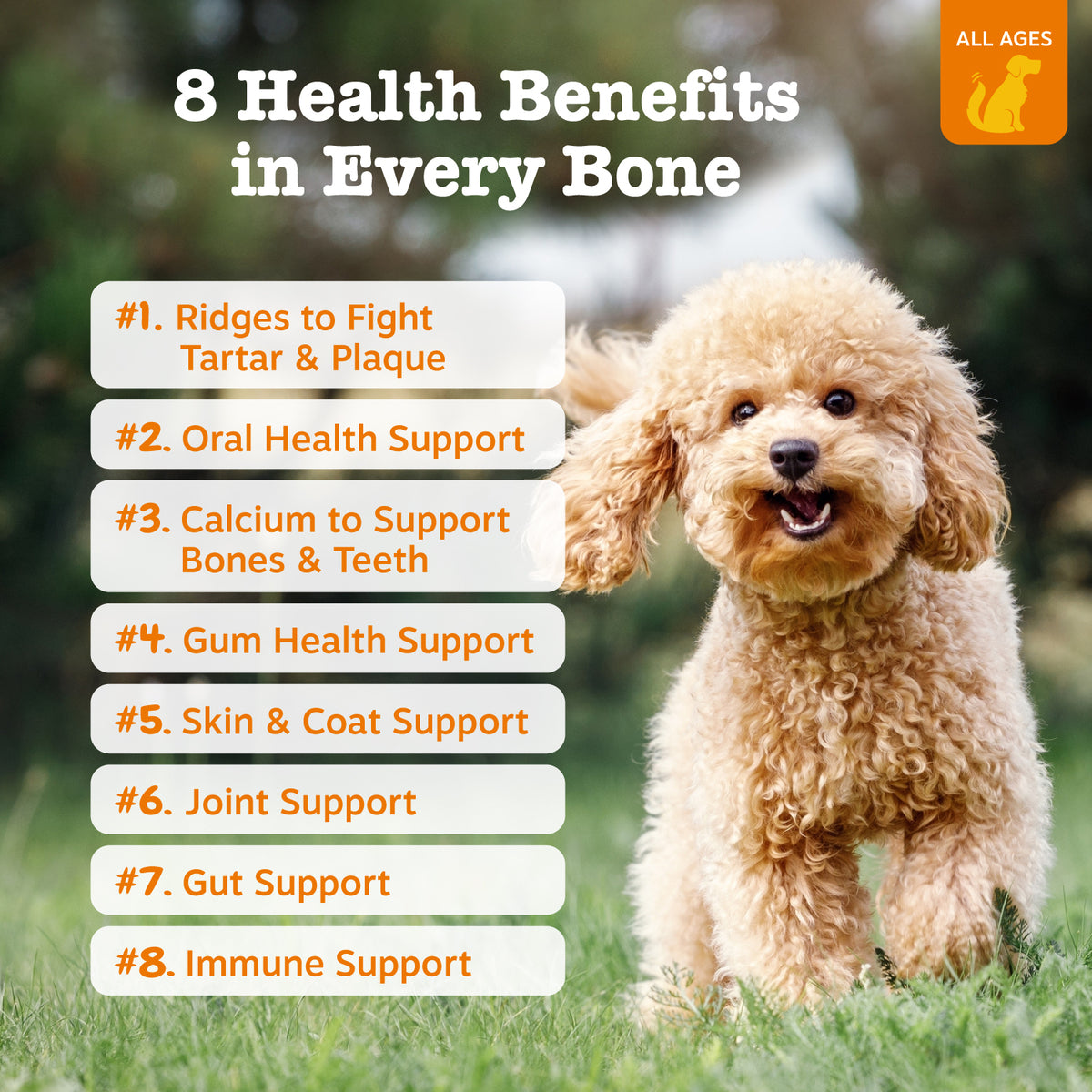 Dental Bones™ for Large Sized Dogs