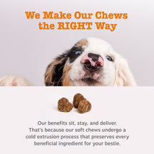 Small brown dog treat pieces arranged on white surface with text overlay about chew benefits.