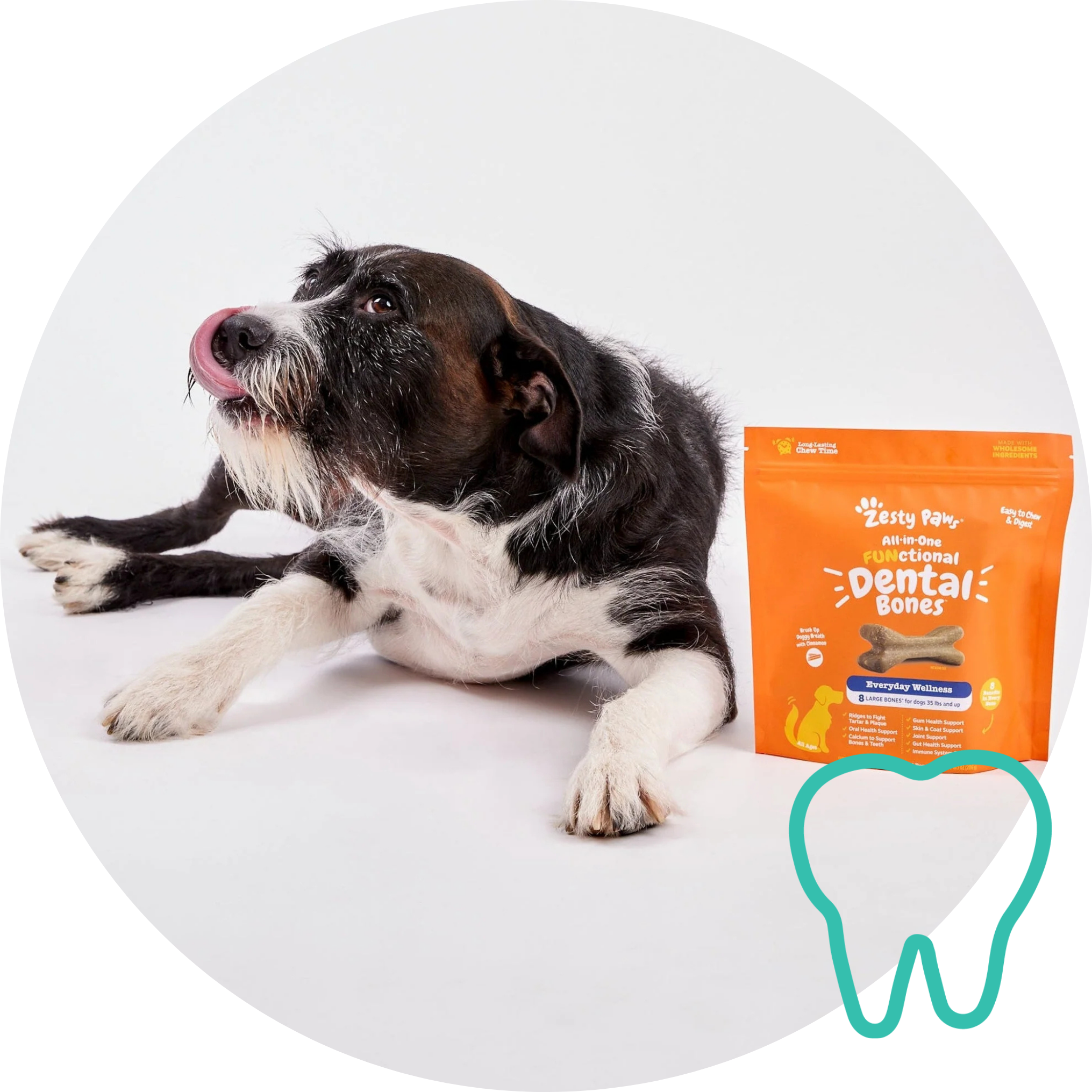 Dog lying on a white surface with a package of Zesty Paws Dental Bones and a tooth graphic.