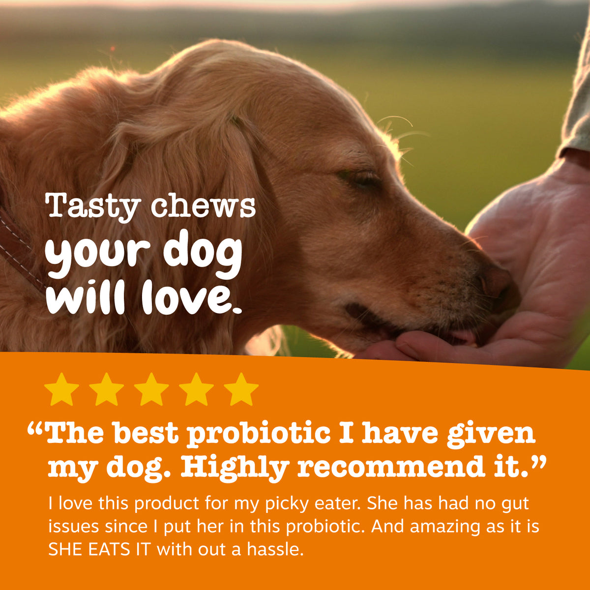 Ancient Elements™ Probiotic Bites™ for Dogs