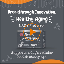Black product box labeled "Healthy Aging NAD+ Precursor" with paw print logo and capsule count displayed on gray background w