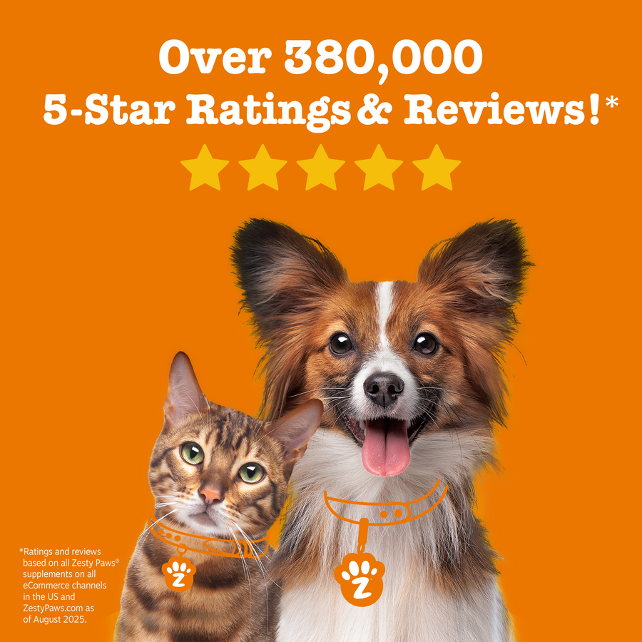 Vet Strength Pre, Post & Probiotic Bites™ for Dogs