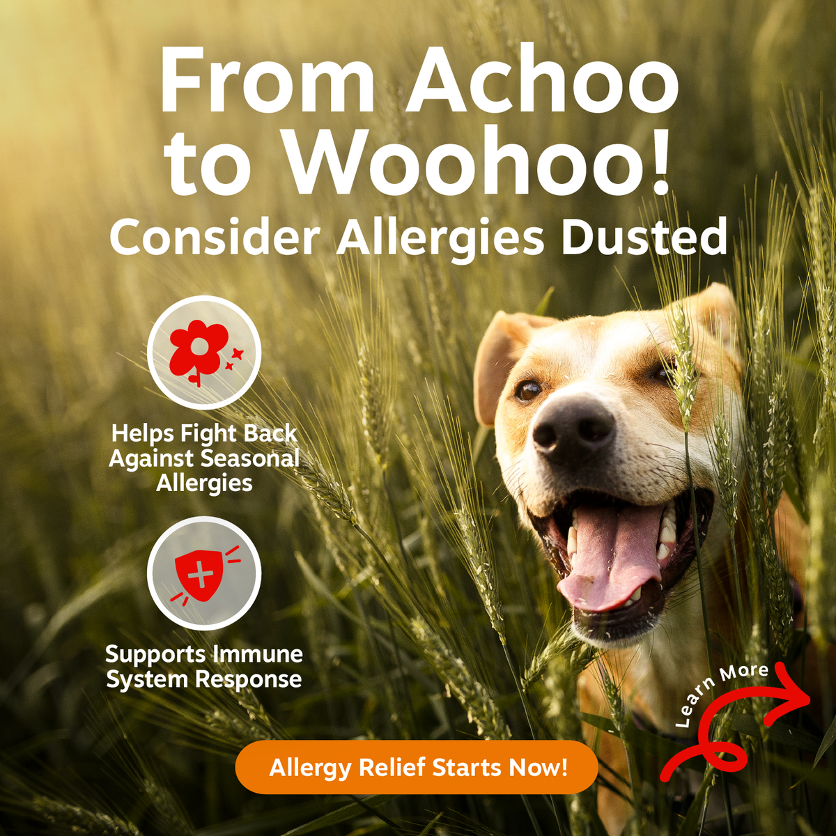 Tan and white dog with tongue out in tall grass field with product marketing text overlay.