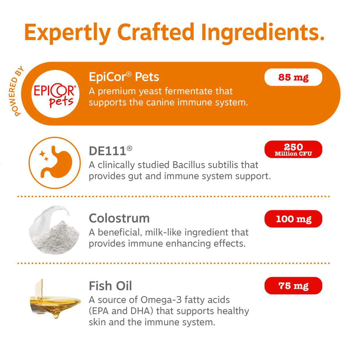 Infographic listing dog supplement ingredients: EpiCor Pets yeast fermentate, DE111 Bacillus subtilis, colostrum, and fish oi