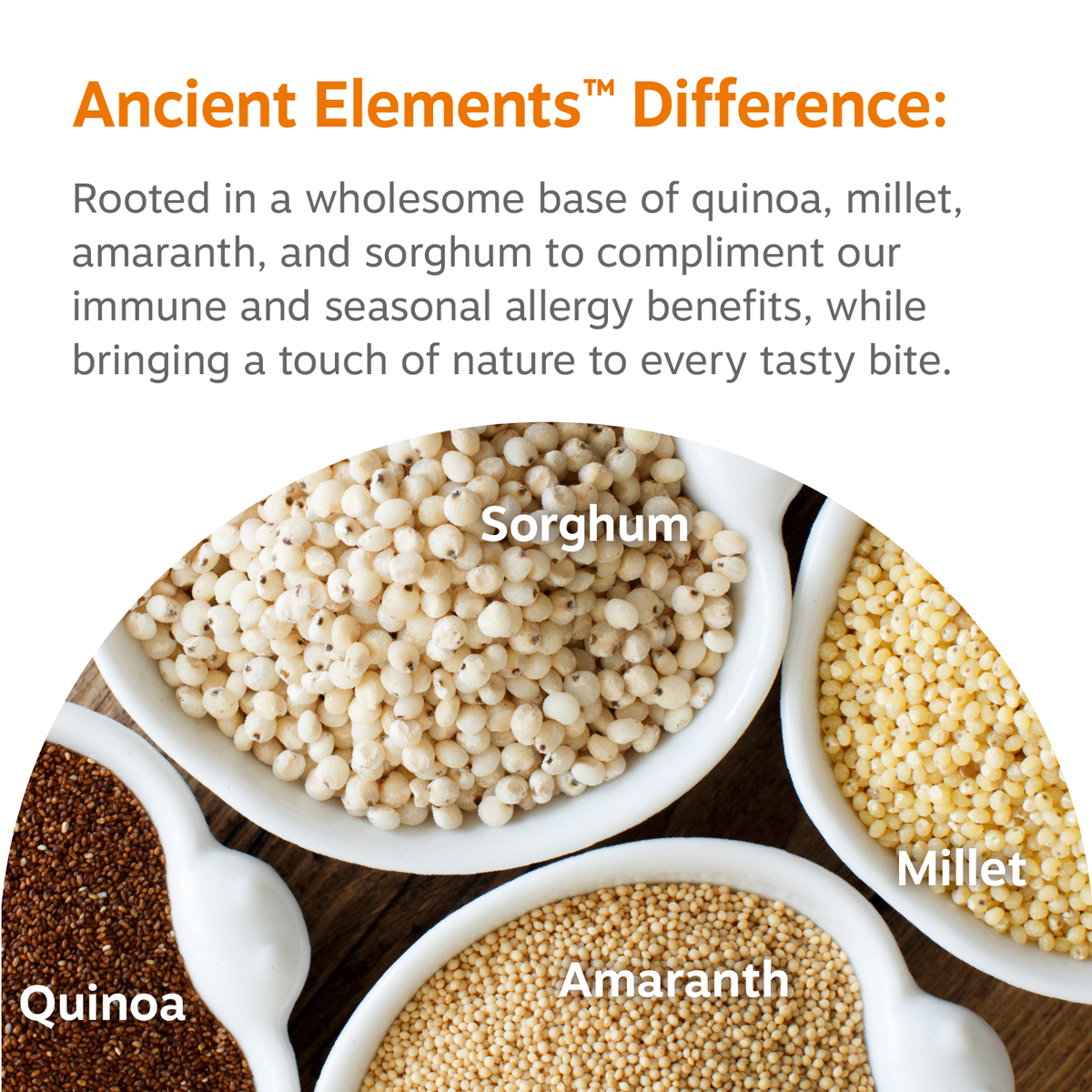 Four white bowls containing quinoa, millet, amaranth, and sorghum grains on a wooden surface.
