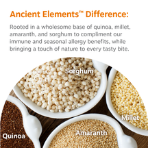 Four white bowls containing quinoa, millet, amaranth, and sorghum grains on a wooden surface.