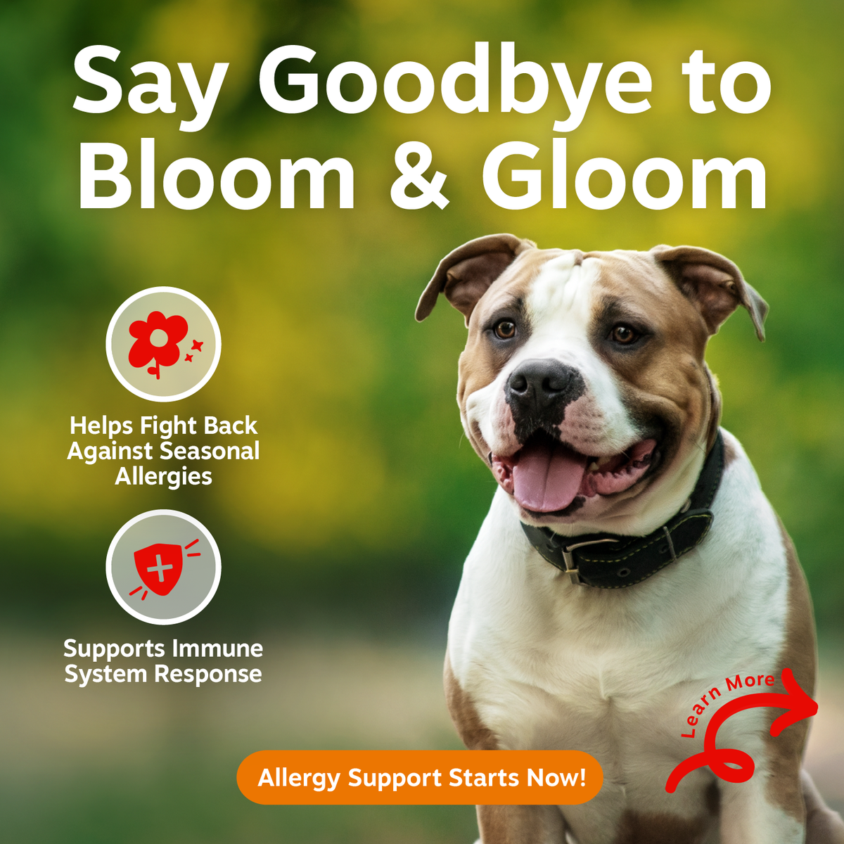 Brown and white dog with black collar against blurred green background with product benefit text and icons.