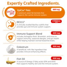 Infographic displaying five key ingredients for dog allergy and immune support with dosages and descriptions.