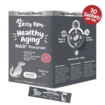 Zesty Paw Healthy Aging NAD+ Precursor Powder dog supplement package with sachets and product information.