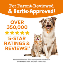 Brown and white dog and tabby cat wearing orange paw-print collars on white background with orange banner text.
