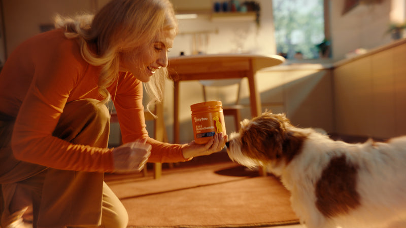 Take a Zesty Pause<br> with Zesty Paws™