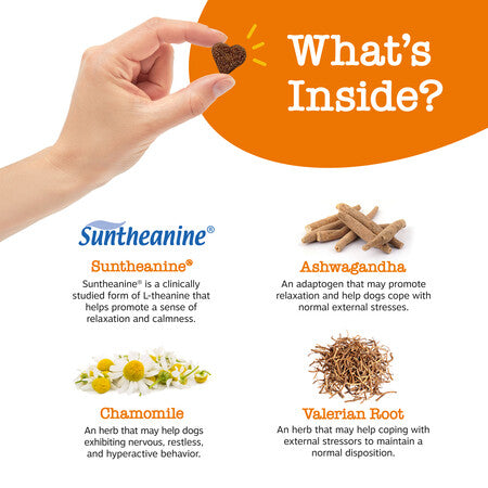 Calming Bites for Dogs