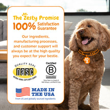 Brown curly-haired small dog wearing orange collar with paw tag, standing next to product information card.