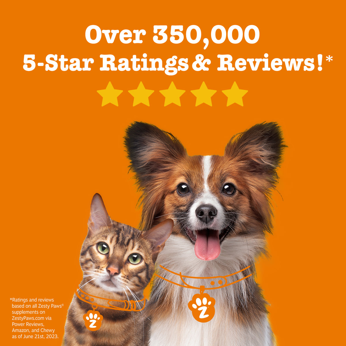 Skin & Coat Bites + Salmon Oil Soft Chews for Dogs