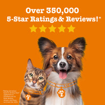 Brown and white dog and tabby cat on orange background with five gold stars and review text.