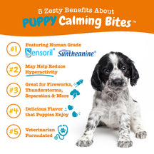 Black and white spotted puppy sitting on white background with orange text listing product benefits.